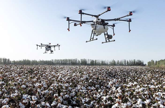 Utilisation de drones agricoles dans un champ de coton