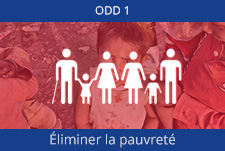 ODD 1 : Éliminer la pauvreté - ADN Nations